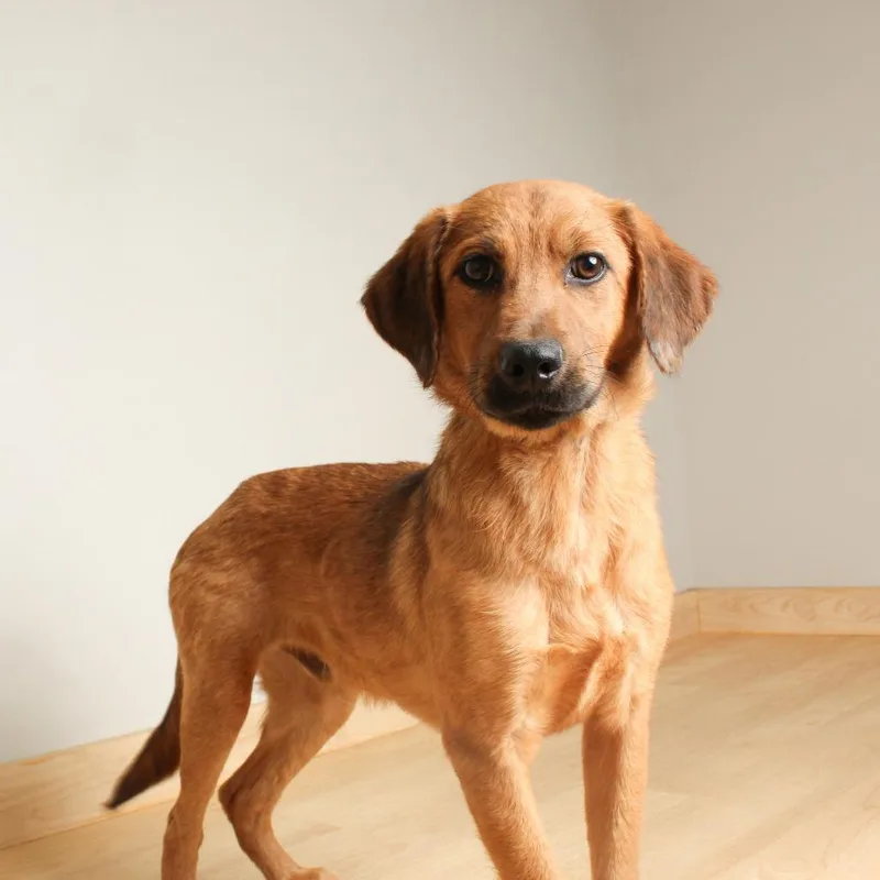 Mighty D thumbnail 2