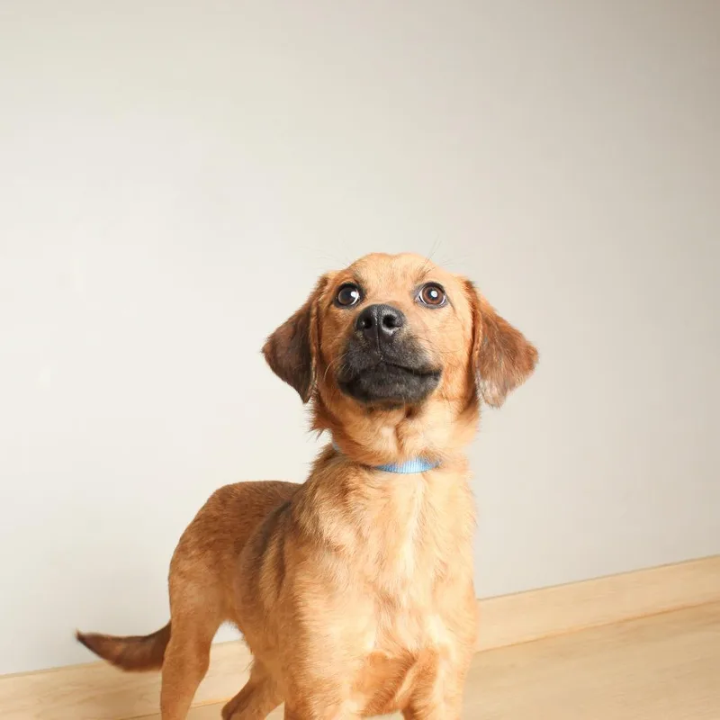 Mighty D thumbnail 3