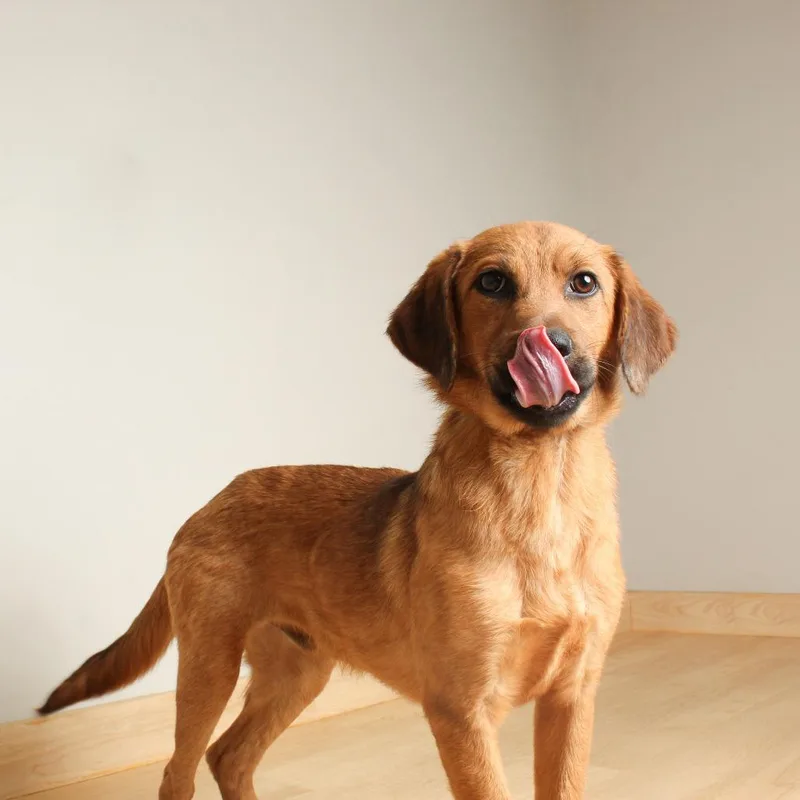 Mighty D thumbnail 4