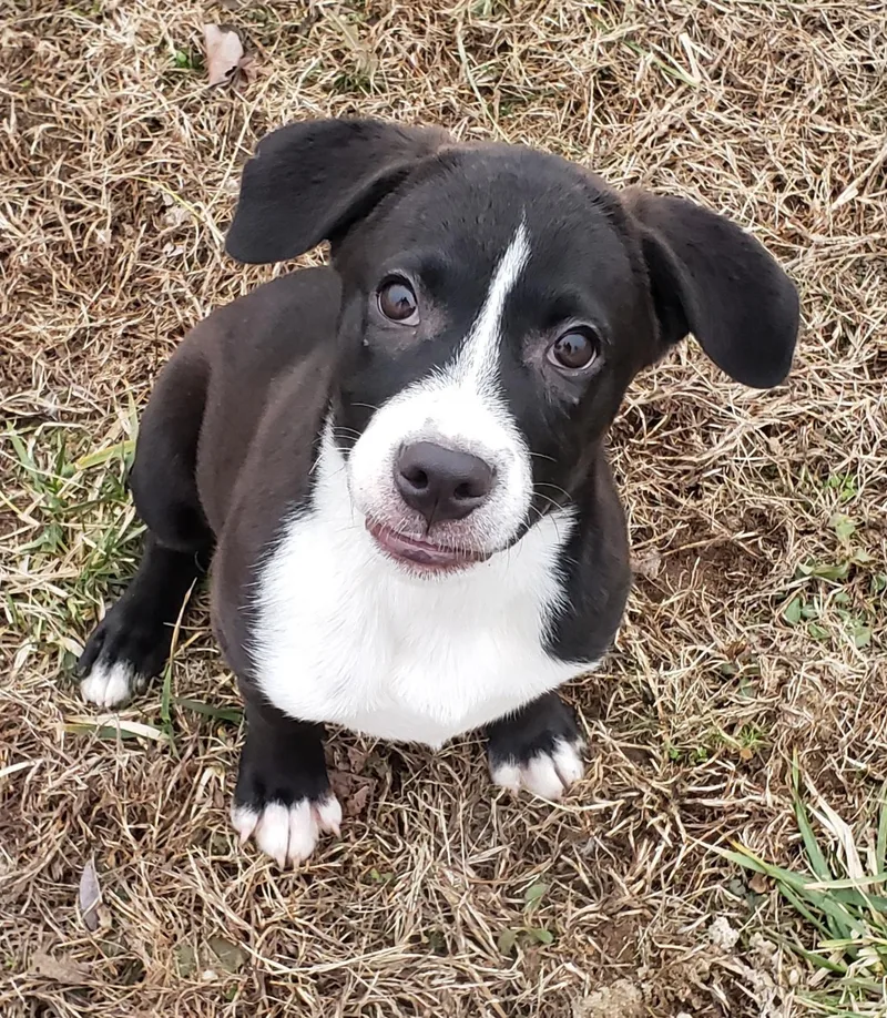 Dory & Libby thumbnail 2