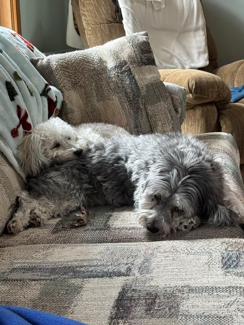 Kiki In Little Chute thumbnail 2