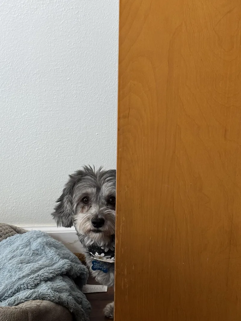 Kiki In Little Chute thumbnail 3