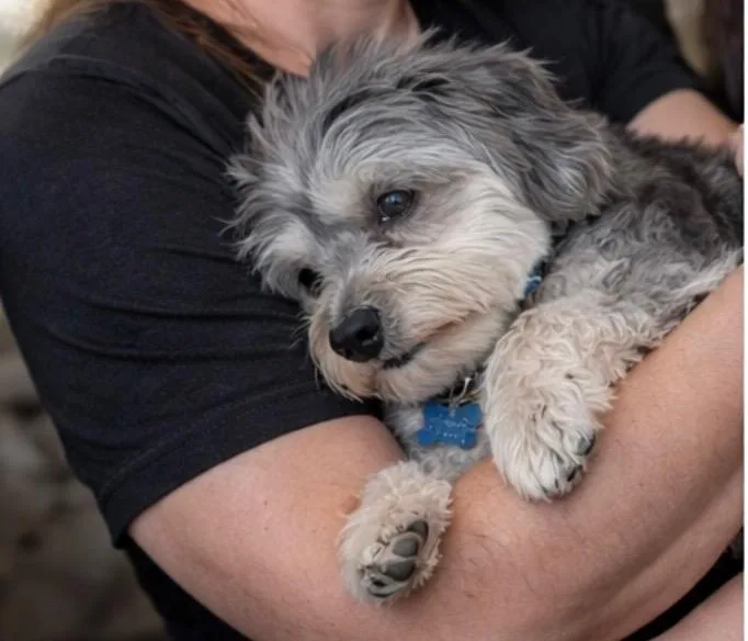 Kiki In Little Chute thumbnail 4