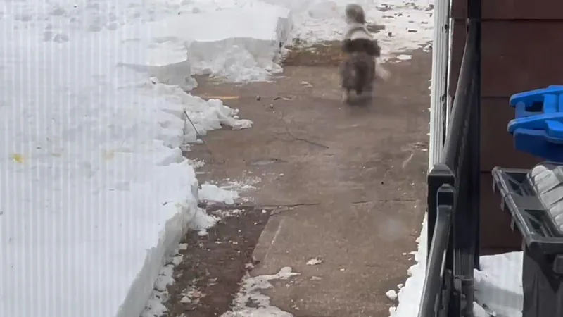 Kiki In Little Chute thumbnail 5