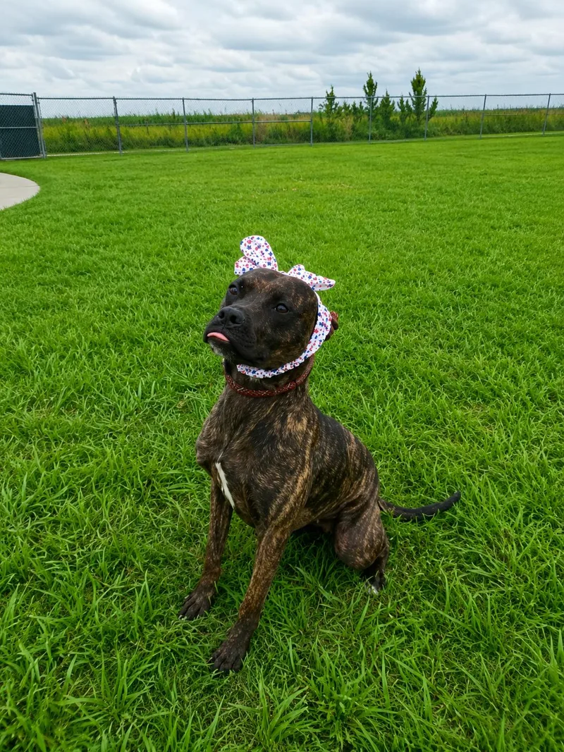 Xena