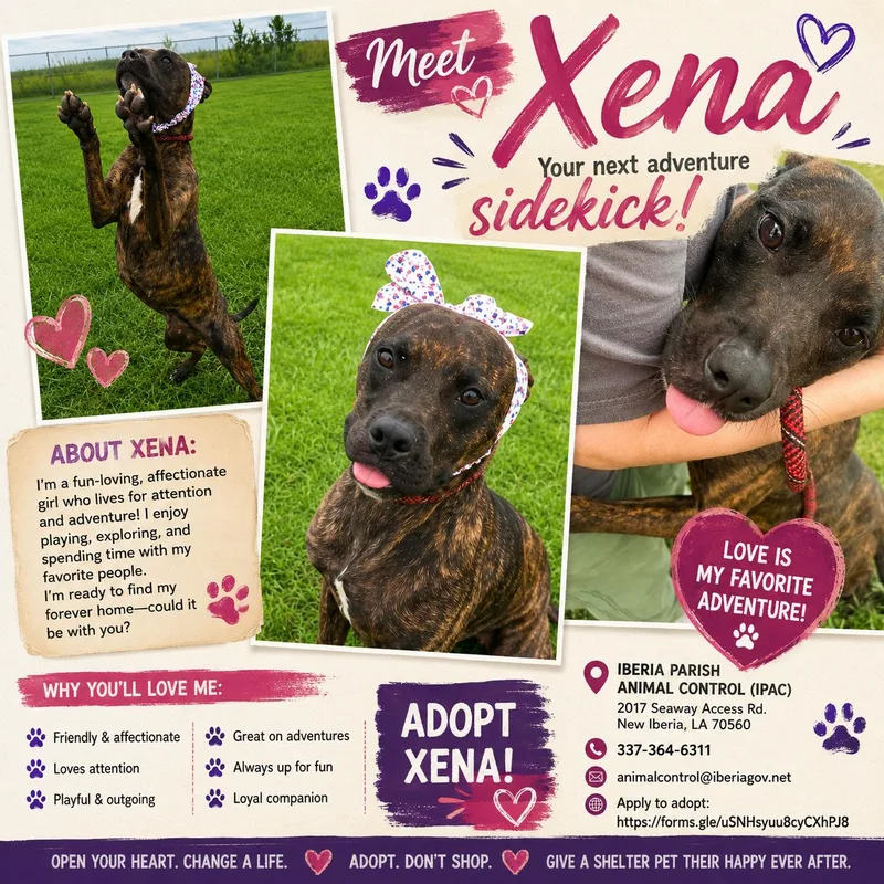 Xena thumbnail 2