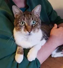 Bert The Sugar Cube thumbnail 2