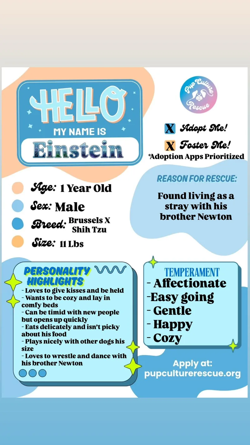 Einstein
