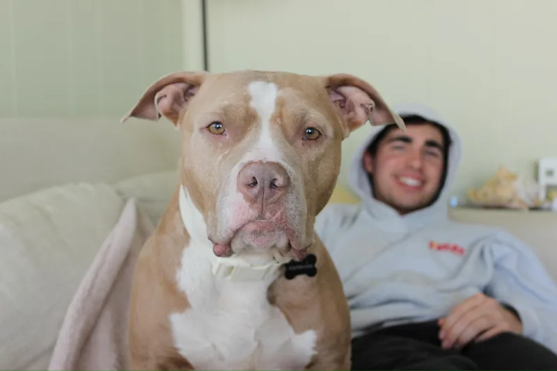 Clementine thumbnail 2