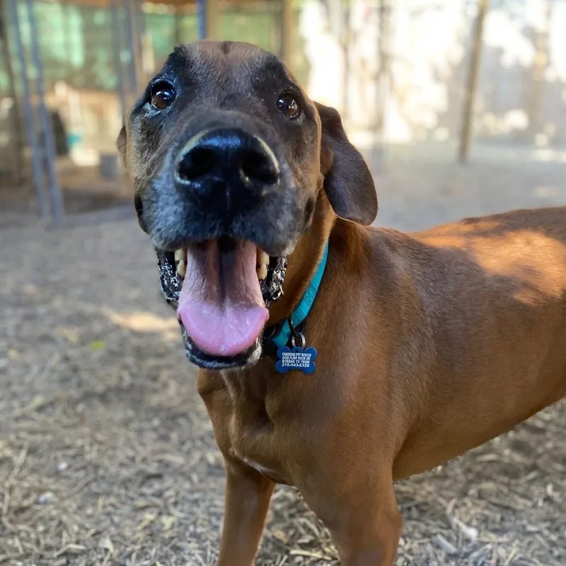 Scoobydoo thumbnail 3