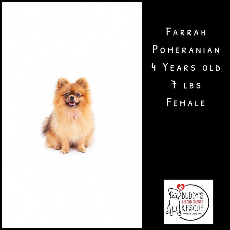 Farrah thumbnail 6
