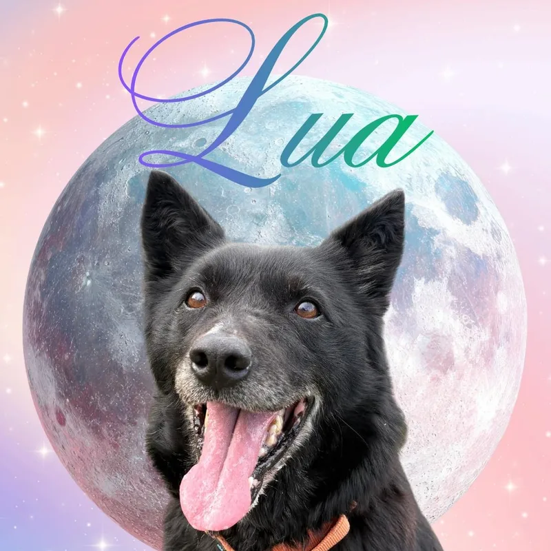 Lua thumbnail 2