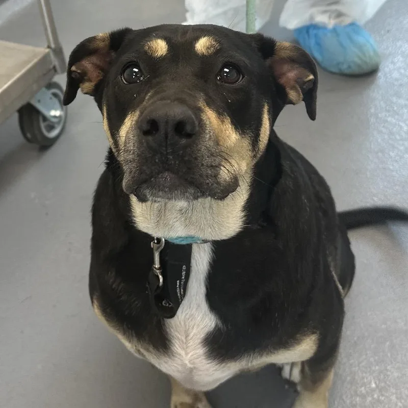 Marichka thumbnail 2