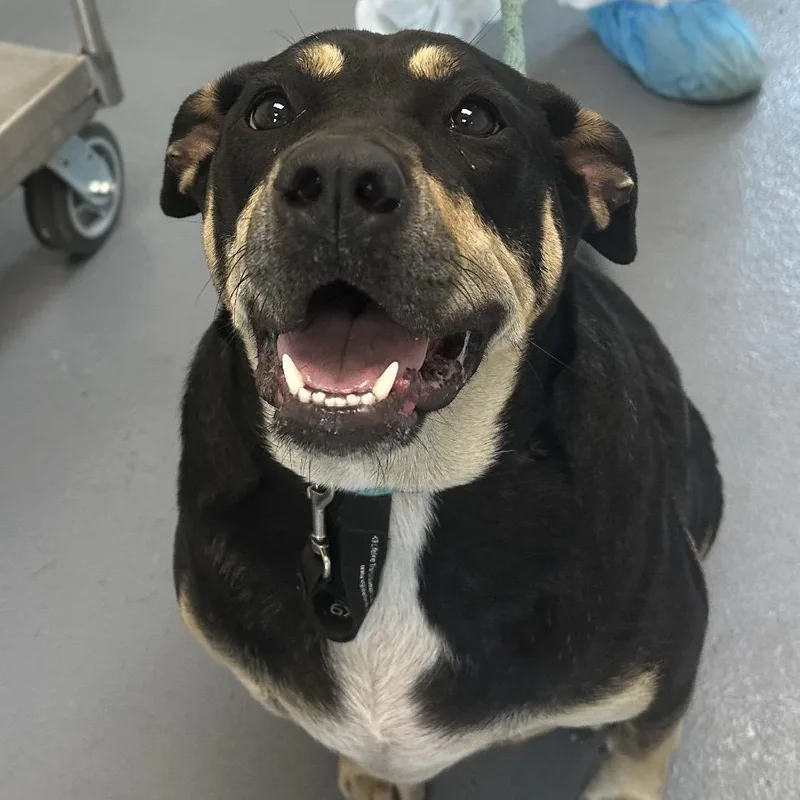 Marichka thumbnail 3