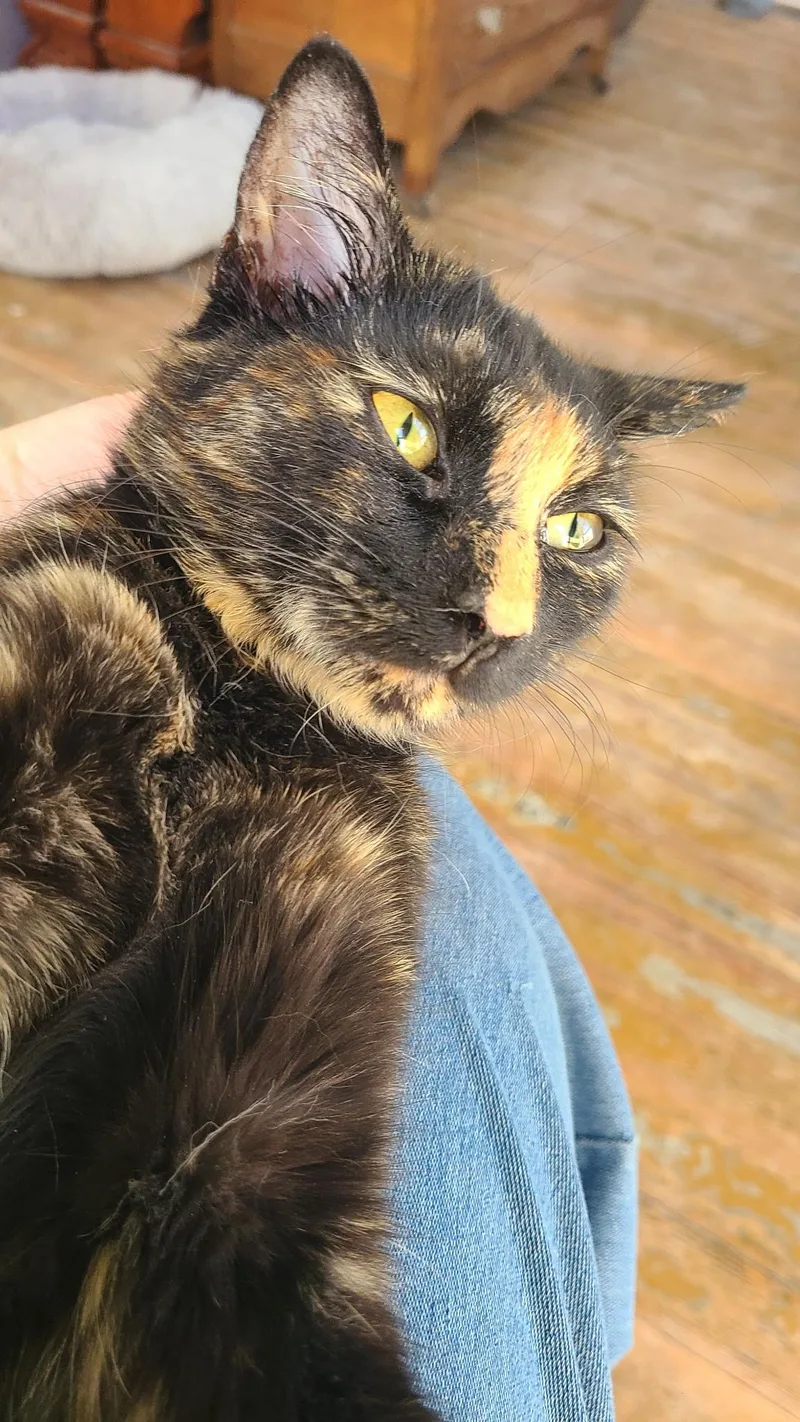 Charlotte thumbnail 2