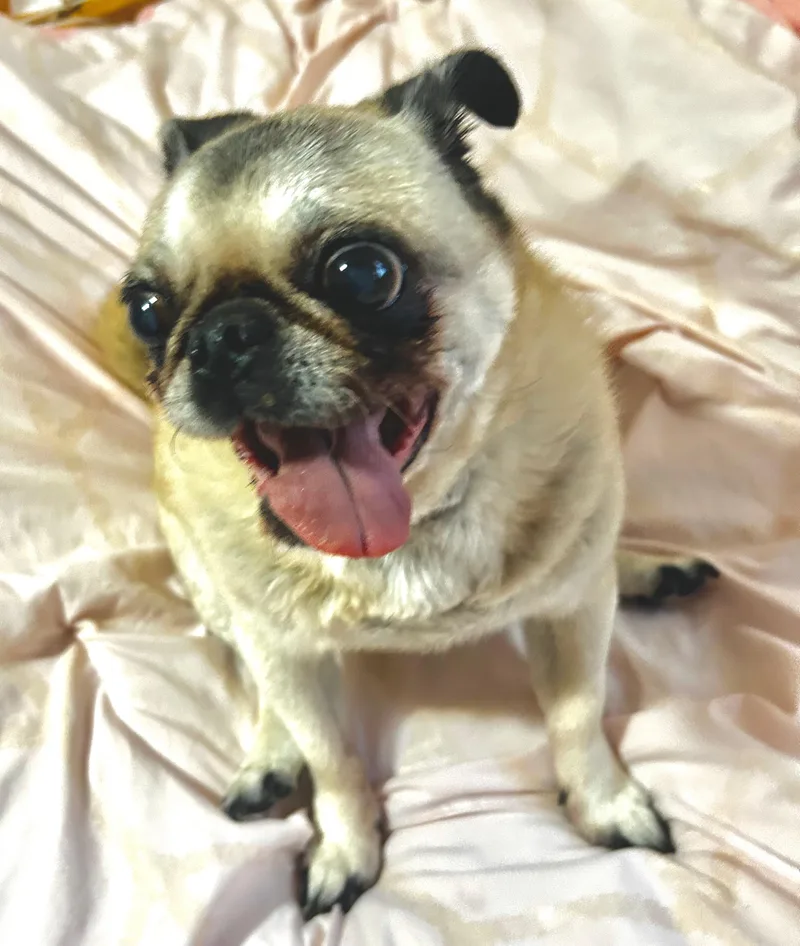 Mimi thumbnail 2
