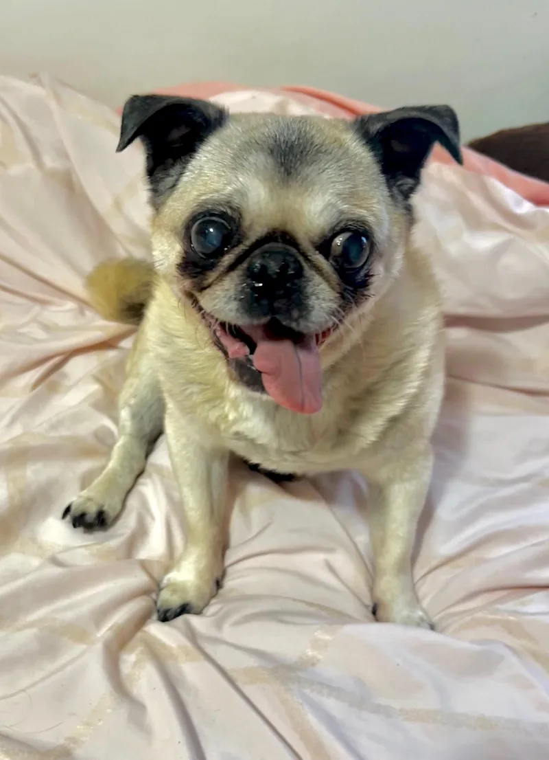 Mimi thumbnail 4