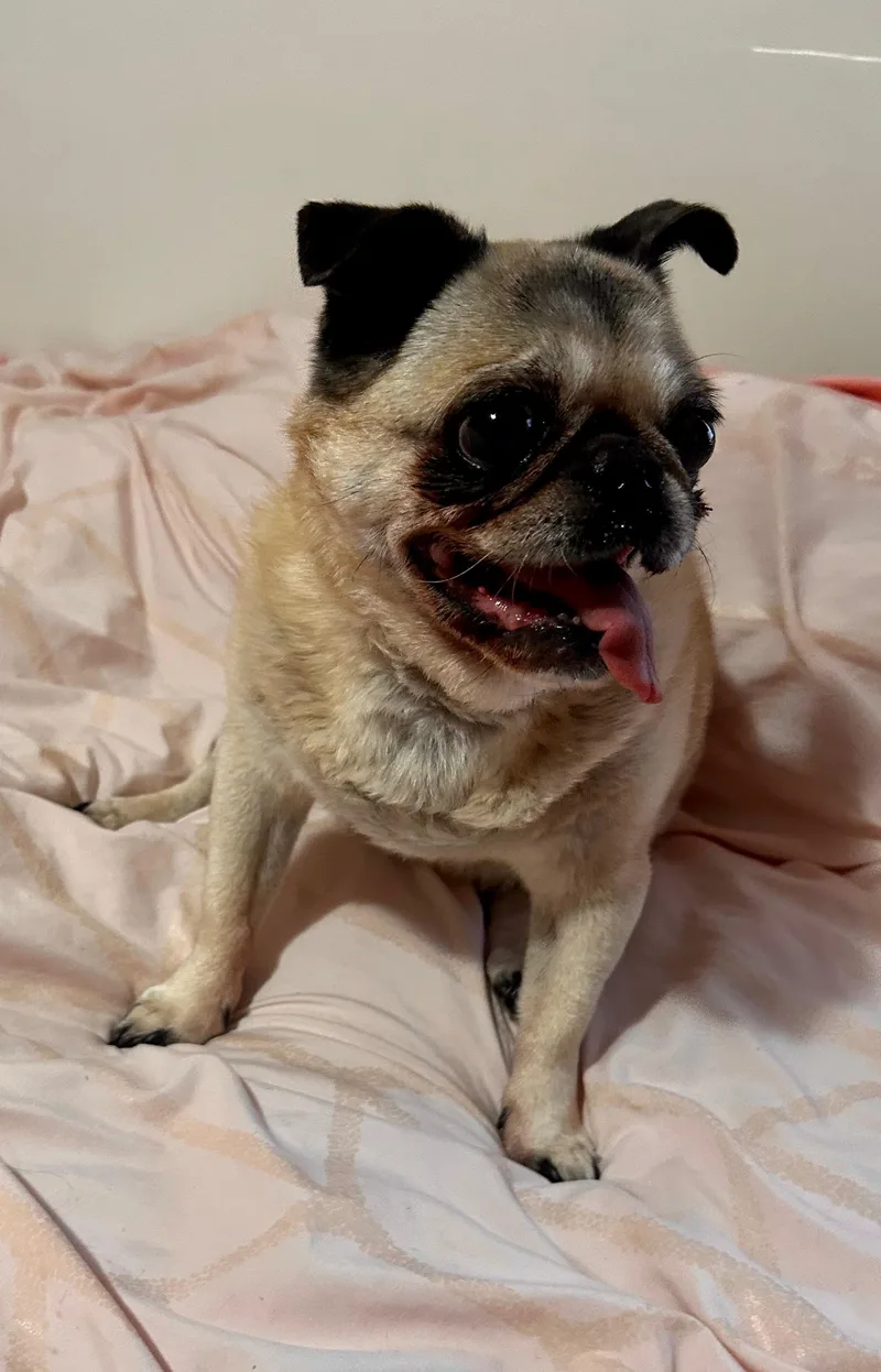 Mimi thumbnail 6
