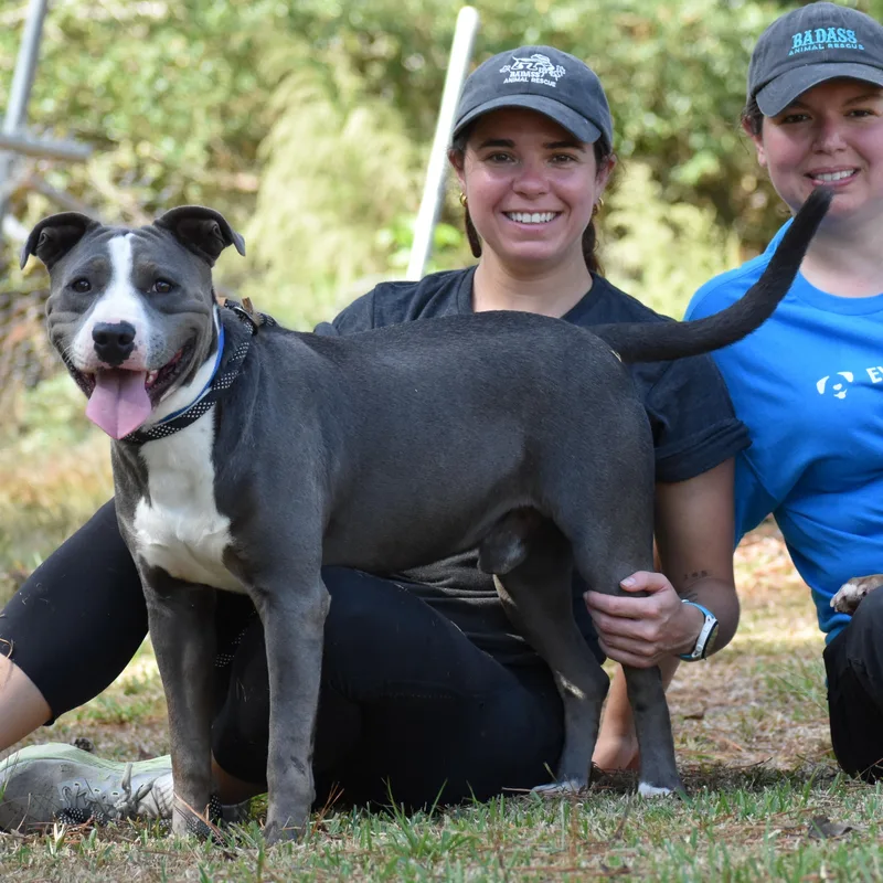 Nikola Jokic thumbnail 2