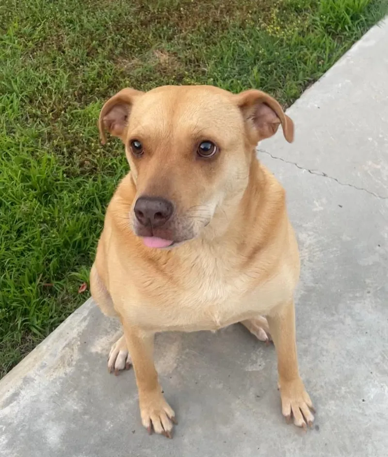 Miz Bizkit thumbnail 2