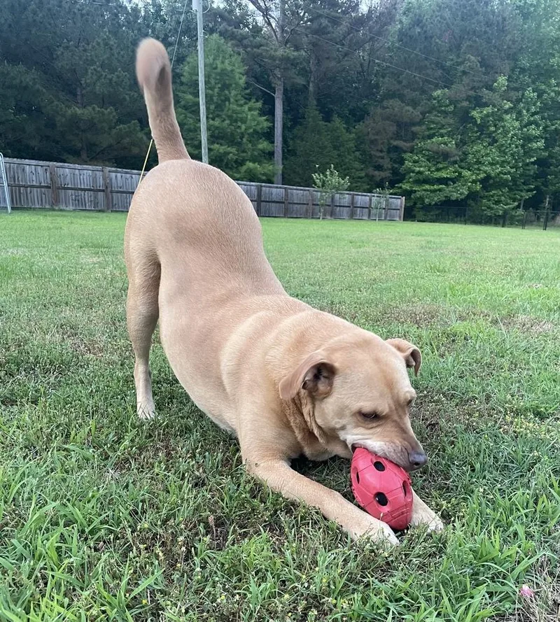 Miz Bizkit thumbnail 3