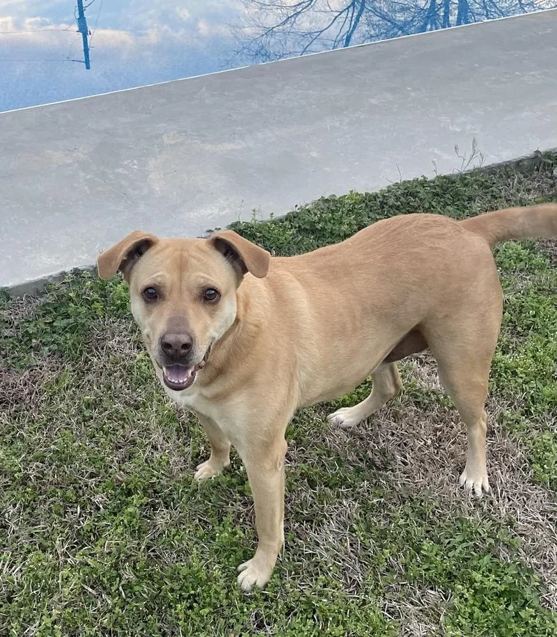 Miz Bizkit thumbnail 4