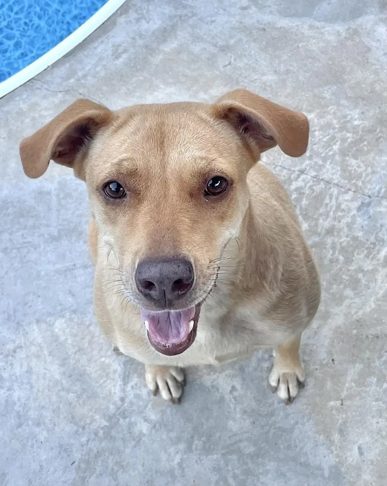 Miz Bizkit thumbnail 5