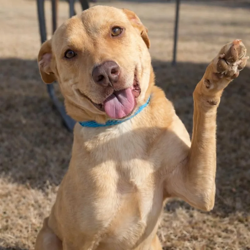 Miz Bizkit thumbnail 6