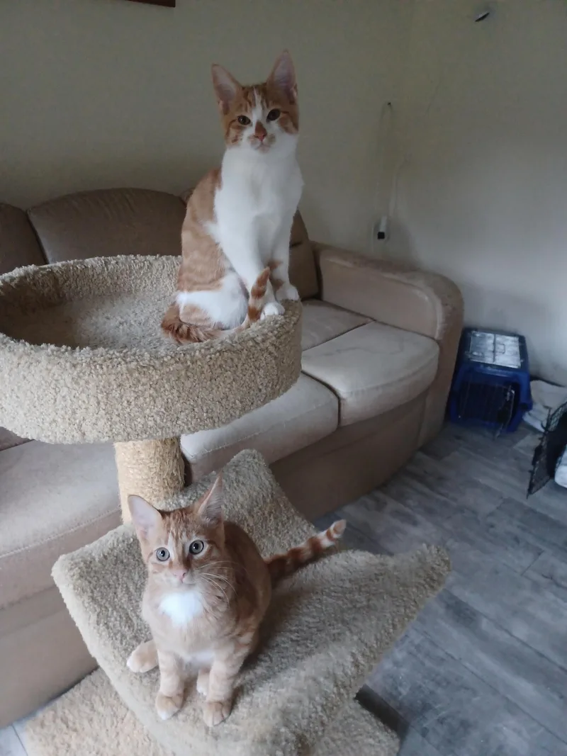 Robbi and Ricki thumbnail 5