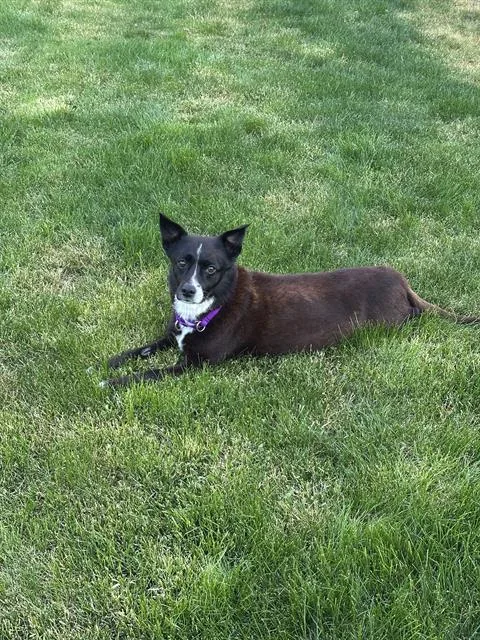 Lucy