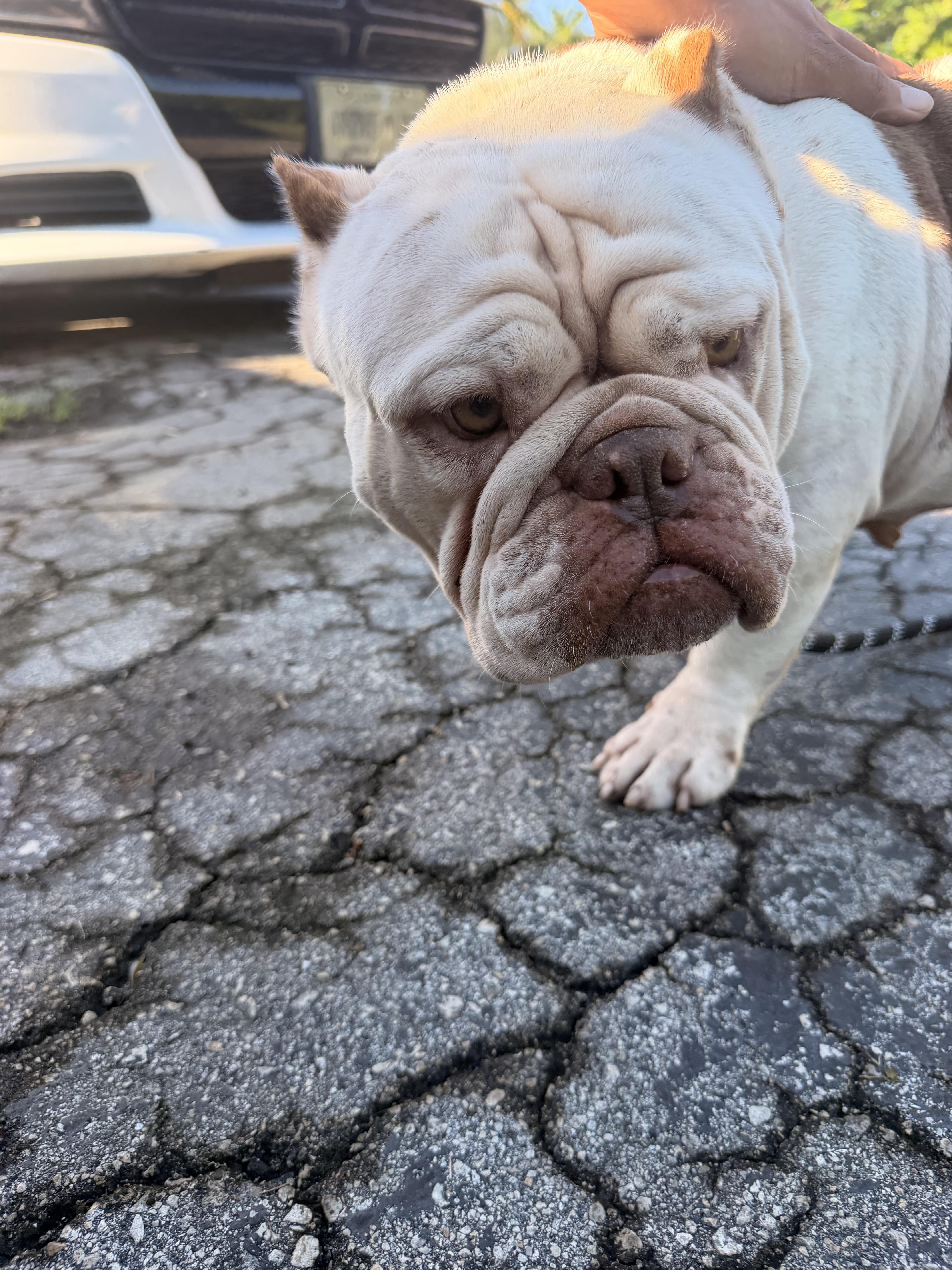 Betty thumbnail 3