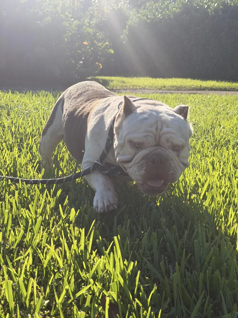 Betty thumbnail 6