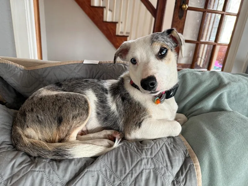 Sprinkles thumbnail 6