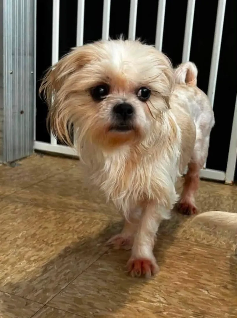 Winnie