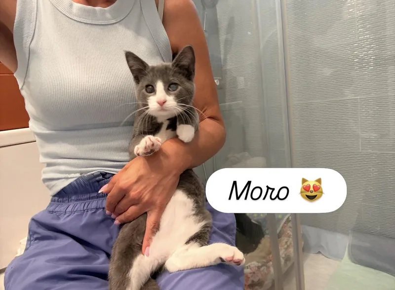 Moro thumbnail 3