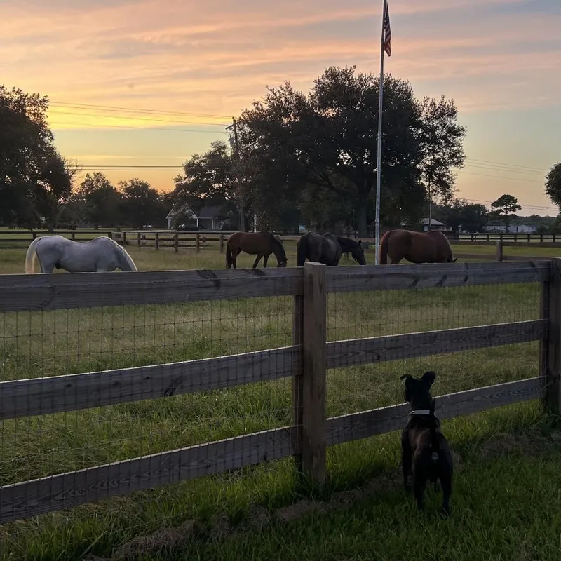 Benny Goodman thumbnail 5