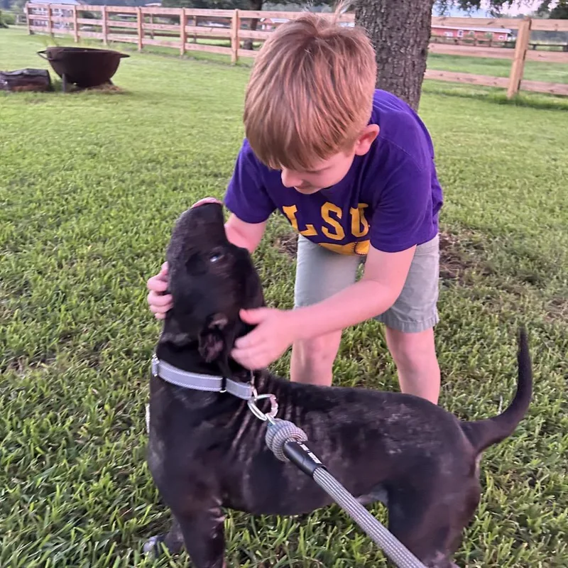 Benny Goodman thumbnail 6