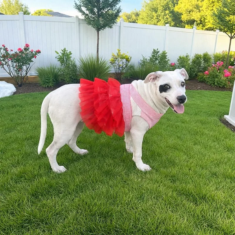 Roulette thumbnail 2