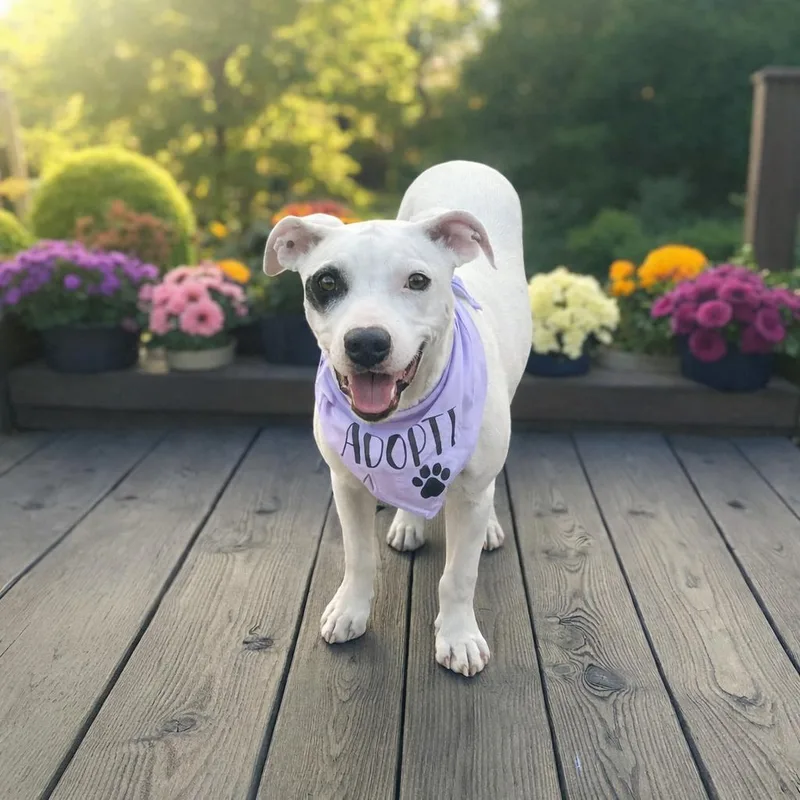 Roulette thumbnail 4