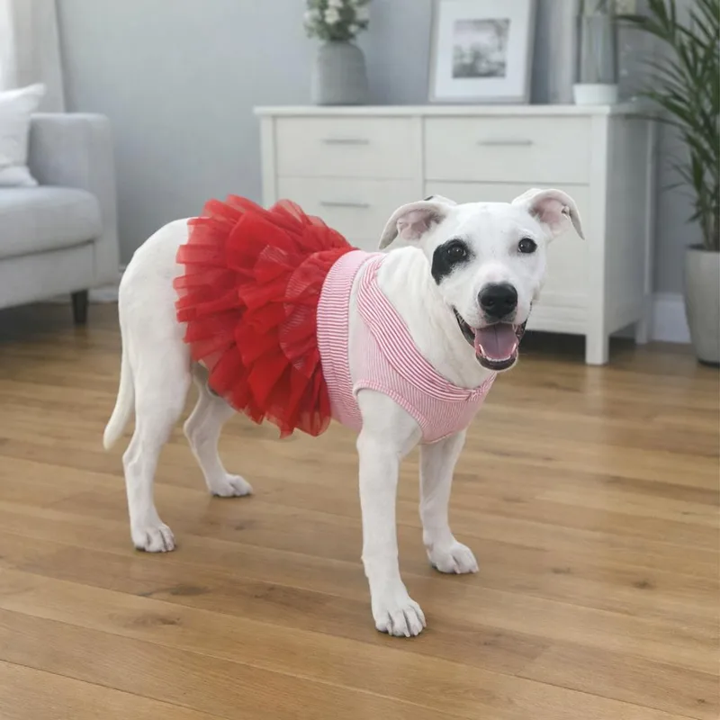 Roulette thumbnail 6