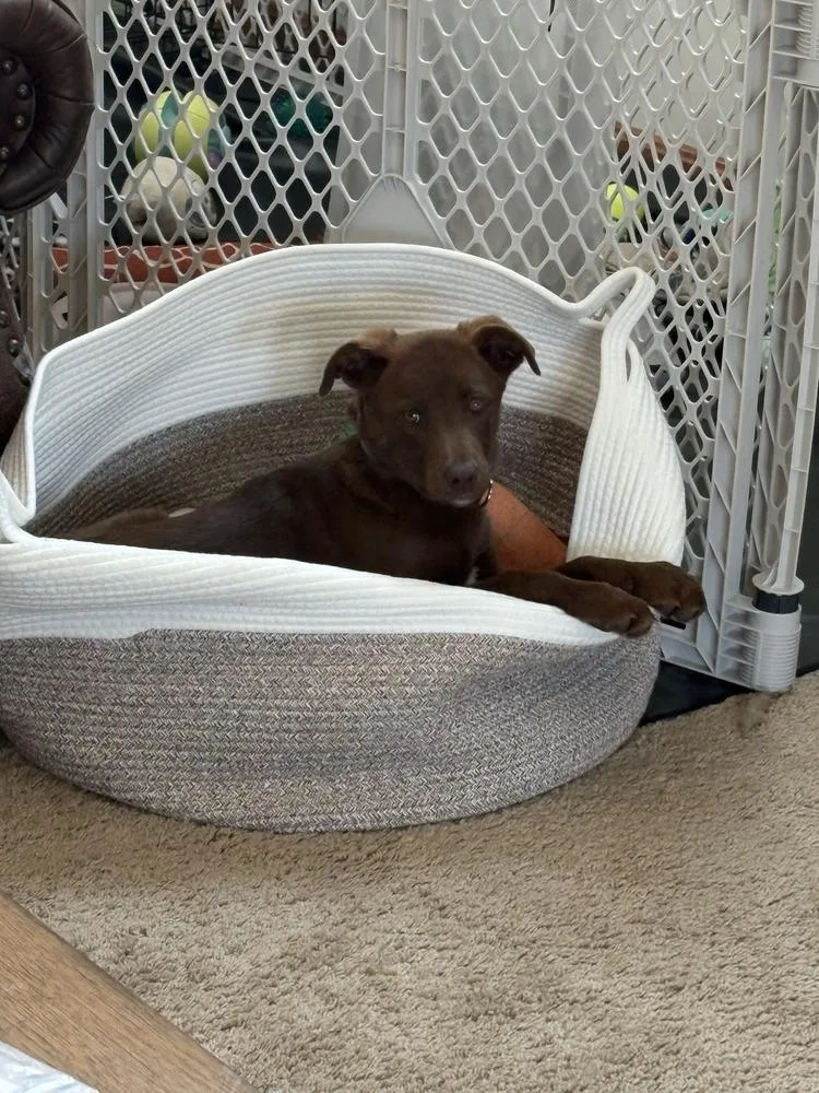 Wednesday Surprise : Blair thumbnail 2