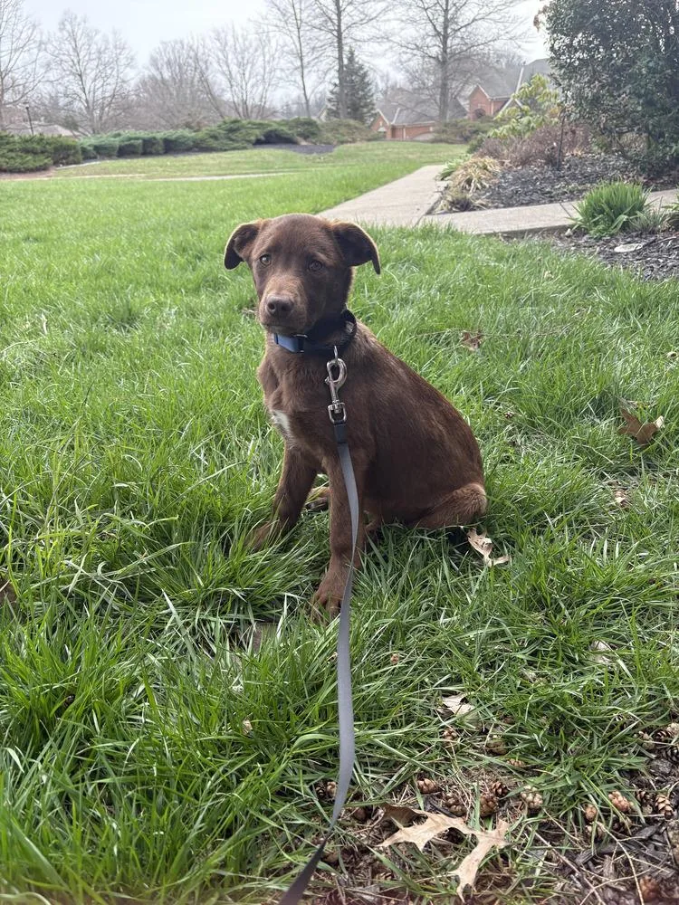 Wednesday Surprise : Blair thumbnail 3