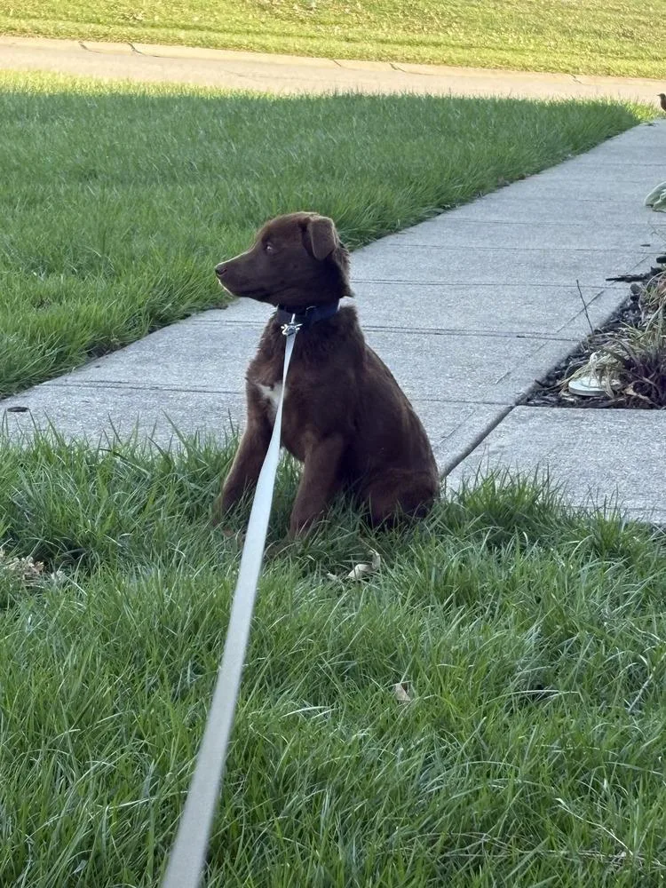 Wednesday Surprise : Blair thumbnail 4