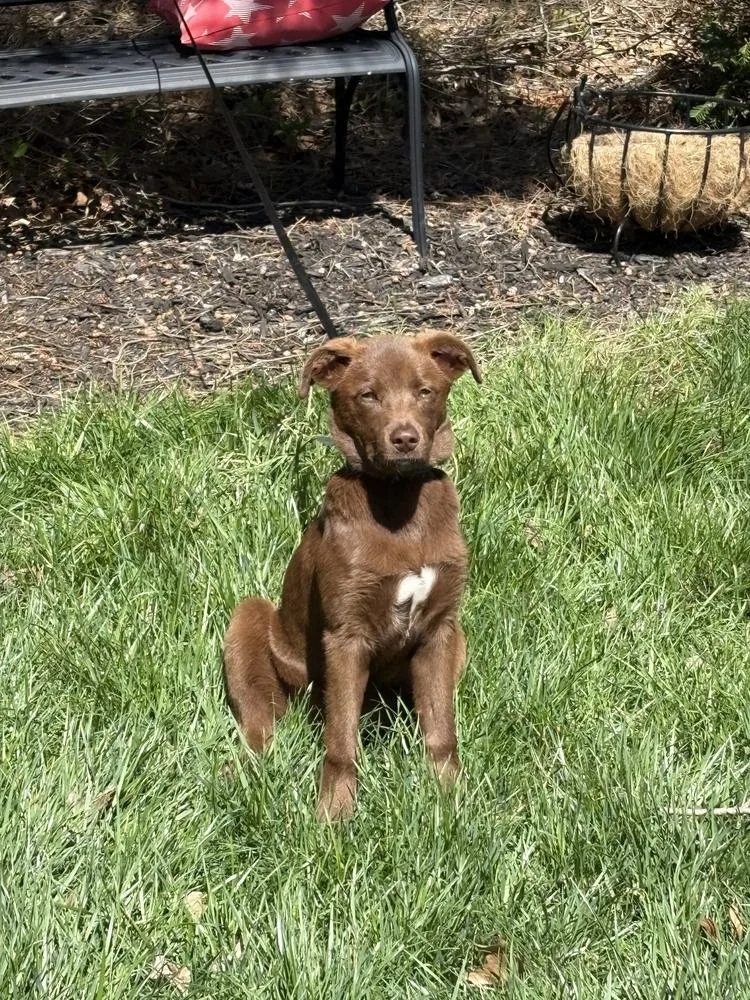 Wednesday Surprise : Blair thumbnail 5