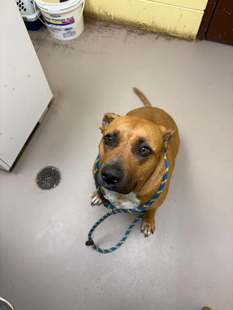 Lady Lardington thumbnail 2