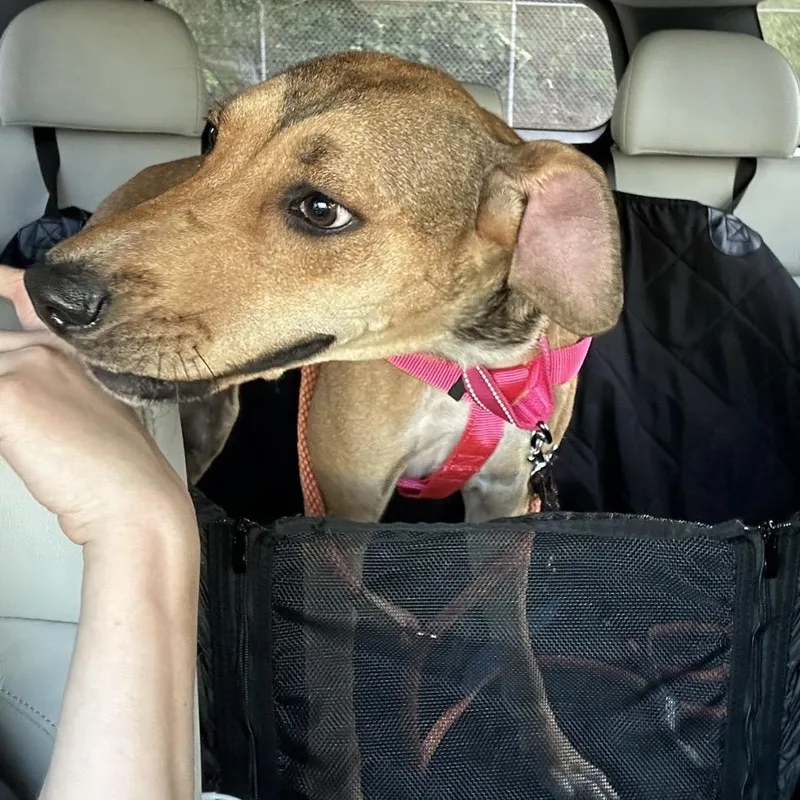 Sadie Rose thumbnail 3