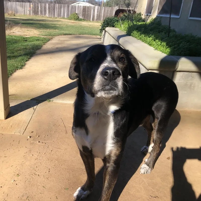 Scrabble thumbnail 2