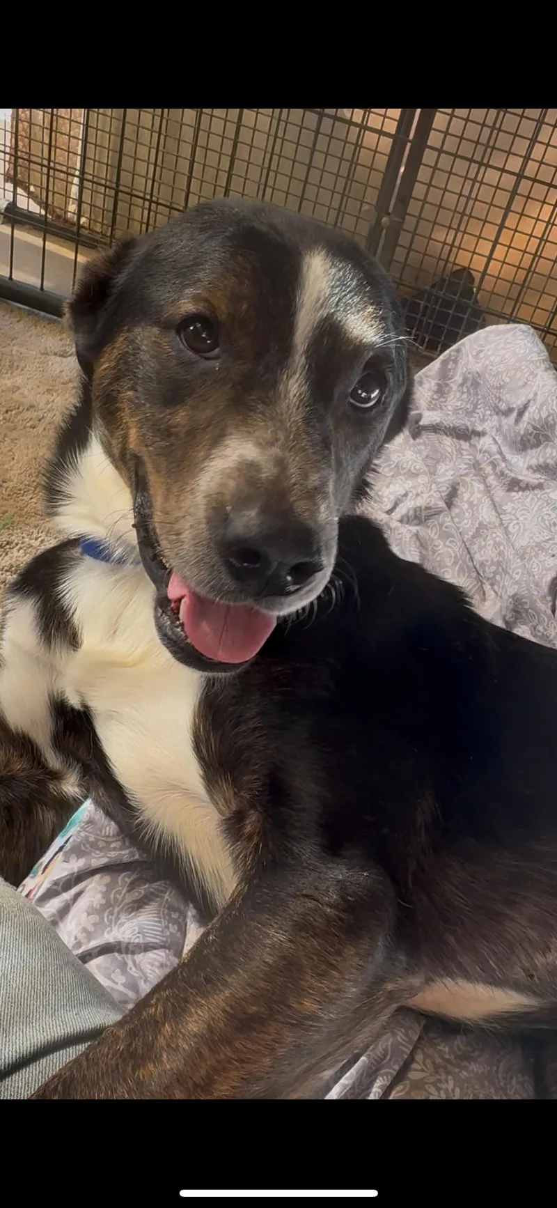 Scrabble thumbnail 3