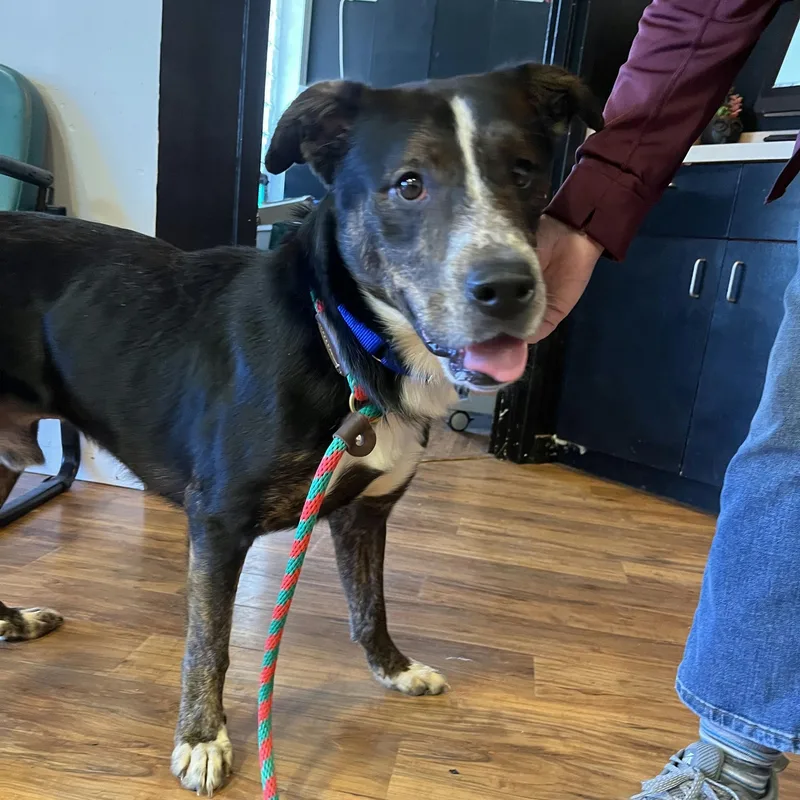 Scrabble thumbnail 4