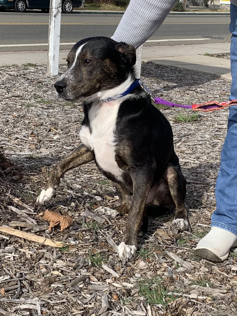 Scrabble thumbnail 5